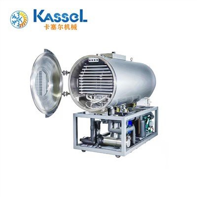 Processo de frutas secas congeladas