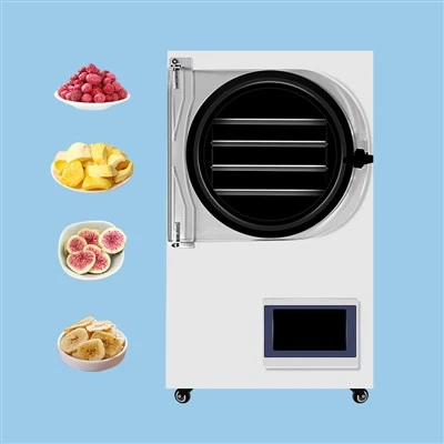 Ginger Herbs Home Mini Freeze Secer